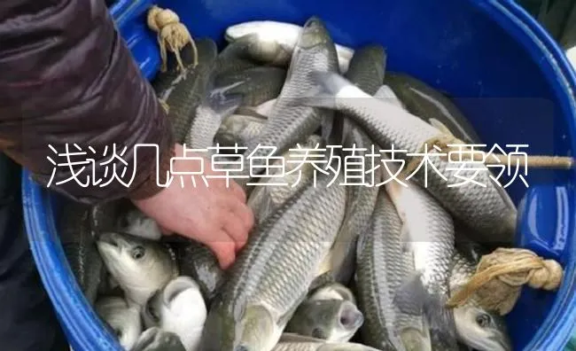 浅谈几点草鱼养殖技术要领