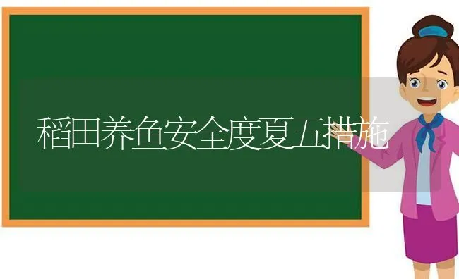 稻田养鱼安全度夏五措施