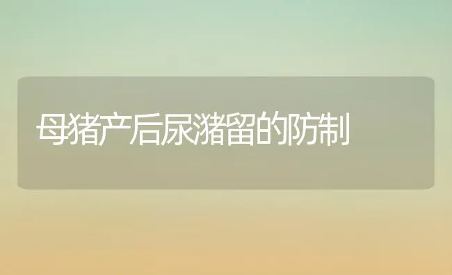 母猪产后尿潴留的防制