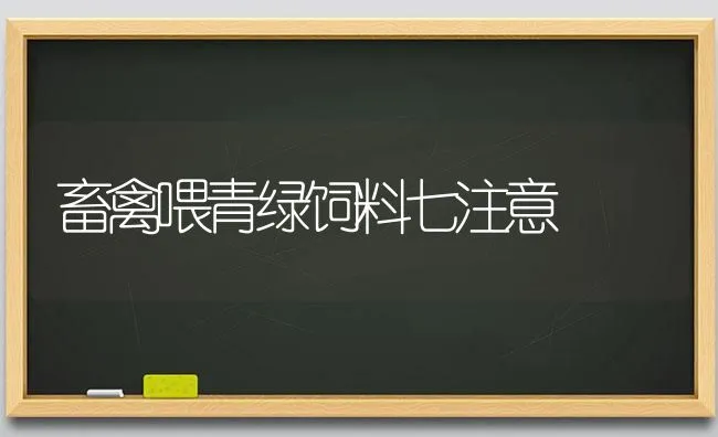 畜禽喂青绿饲料七注意