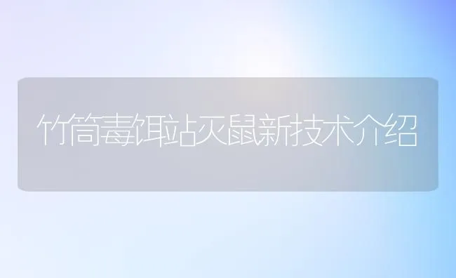 竹筒毒饵站灭鼠新技术介绍