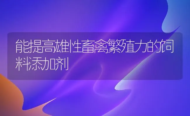 能提高雄性畜禽繁殖力的饲料添加剂