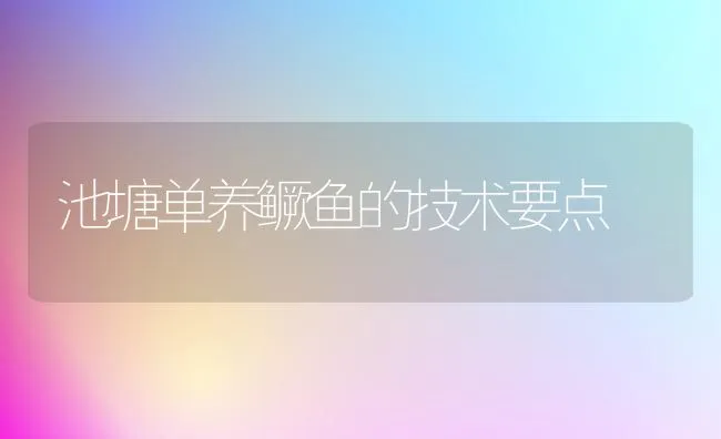 池塘单养鳜鱼的技术要点