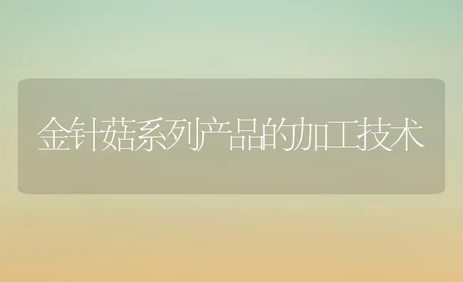 金针菇系列产品的加工技术