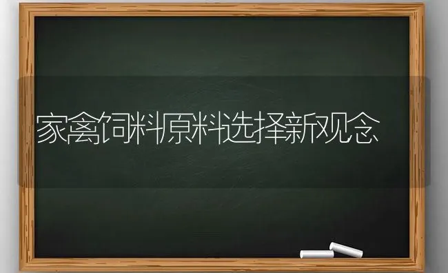 家禽饲料原料选择新观念