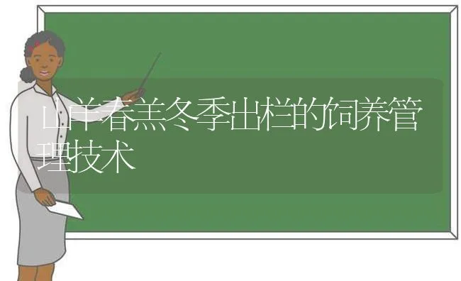 山羊春羔冬季出栏的饲养管理技术