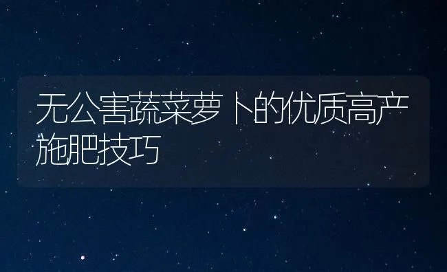 无公害蔬菜萝卜的优质高产施肥技巧