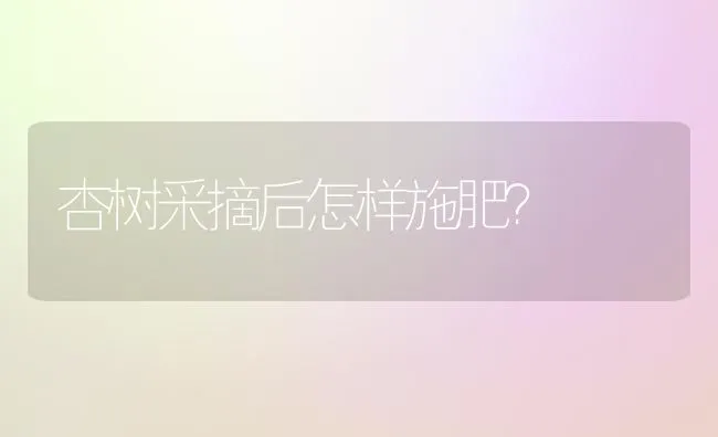 杏树采摘后怎样施肥？