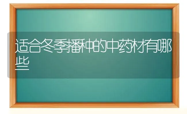 适合冬季播种的中药材有哪些