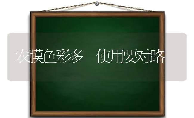 湿度上来了病害“摁”下去