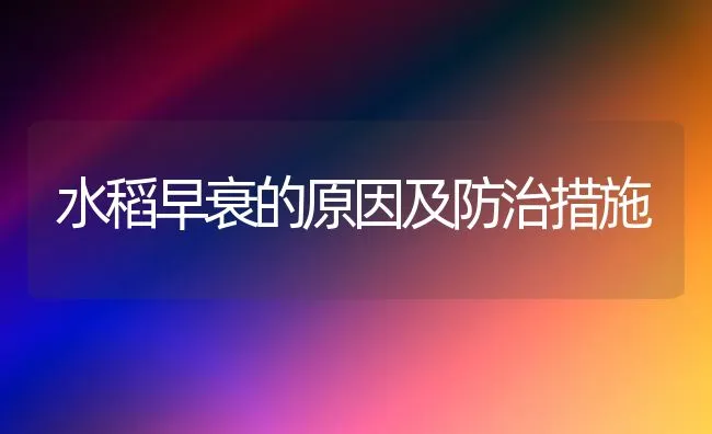 水稻早衰的原因及防治措施