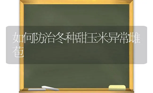 如何防治冬种甜玉米异常雌苞