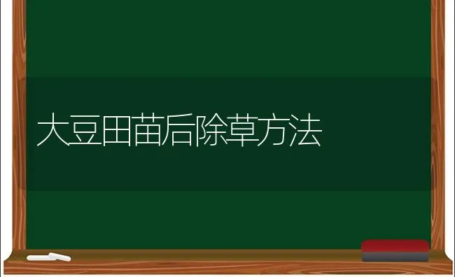 大豆田苗后除草方法