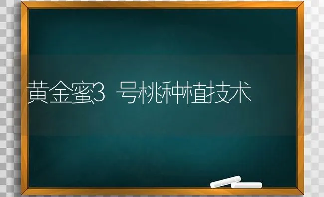 黄金蜜3号桃种植技术