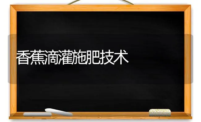 香蕉滴灌施肥技术