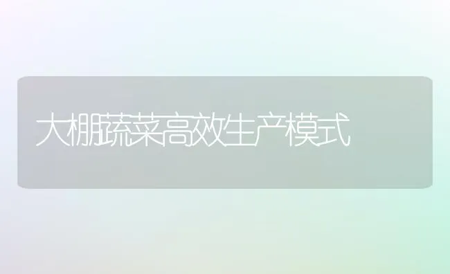 大棚蔬菜高效生产模式