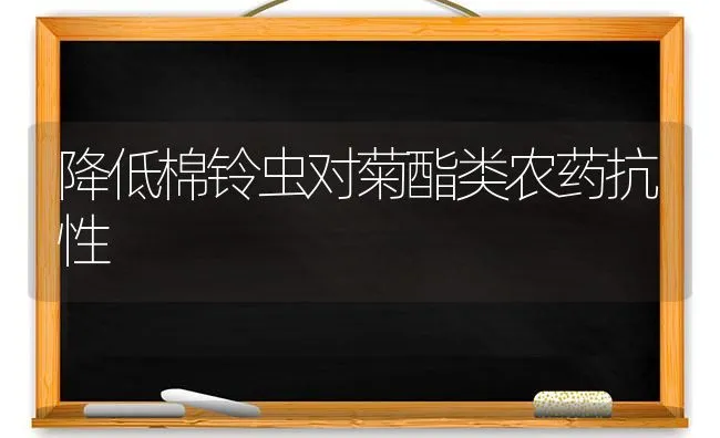 降低棉铃虫对菊酯类农药抗性