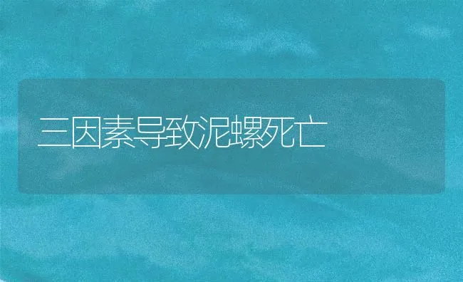 三因素导致泥螺死亡