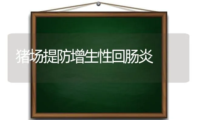 猪场提防增生性回肠炎