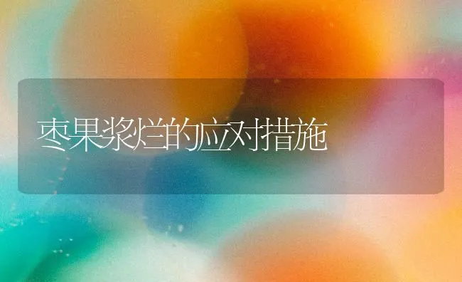 枣果浆烂的应对措施