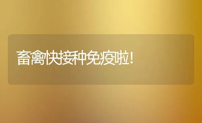 畜禽快接种免疫啦！