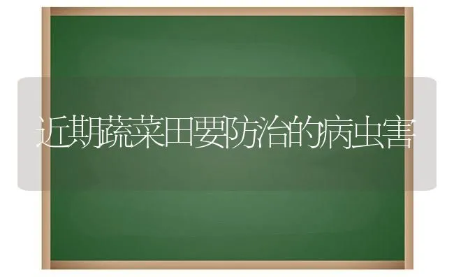 近期蔬菜田要防治的病虫害