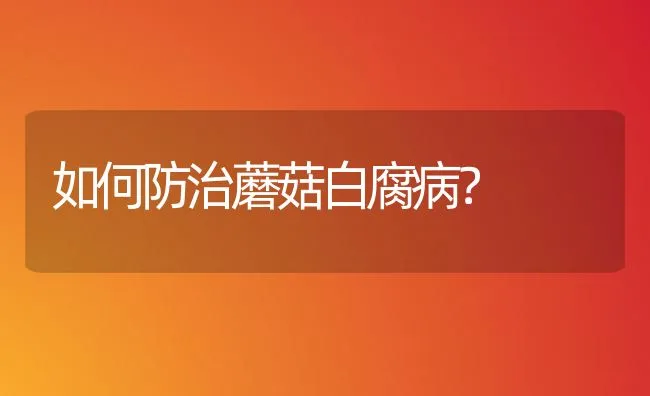 如何防治蘑菇白腐病？