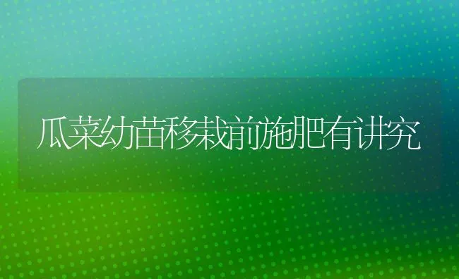 瓜菜幼苗移栽前施肥有讲究