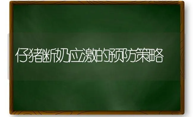 仔猪断奶应激的预防策略