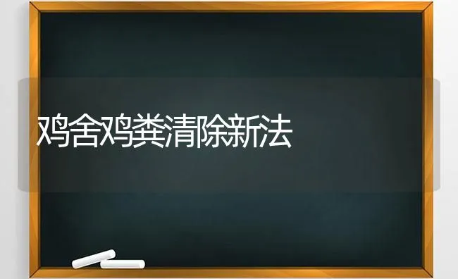 鸡舍鸡粪清除新法