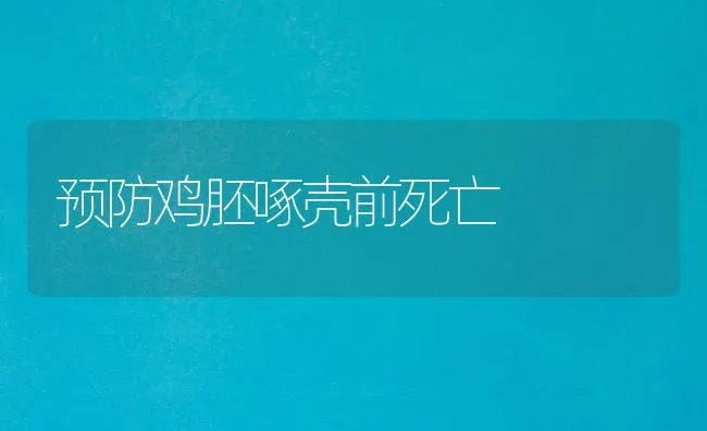 预防鸡胚啄壳前死亡