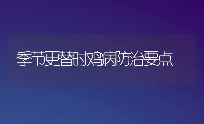 季节更替时鸡病防治要点