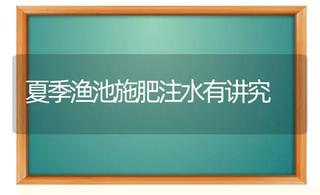 夏季渔池施肥注水有讲究