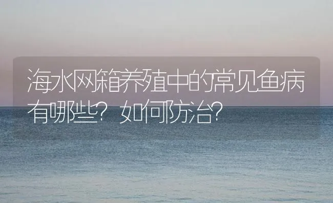 海水网箱养殖中的常见鱼病有哪些？如何防治？