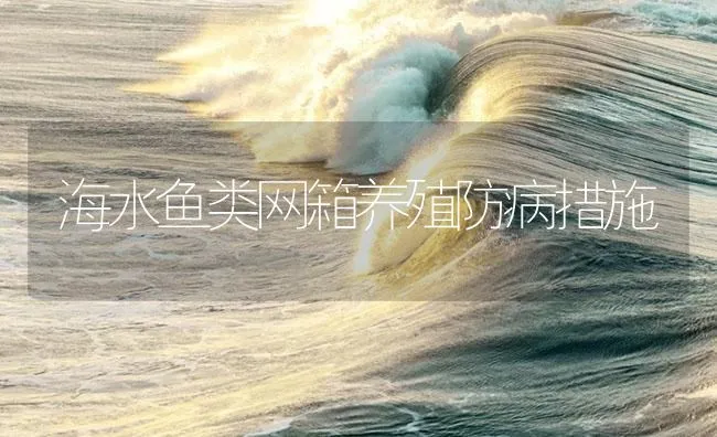 海水鱼类网箱养殖防病措施