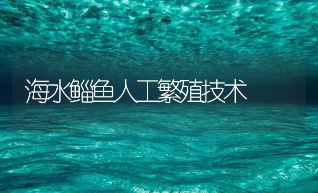 海水鲻鱼人工繁殖技术