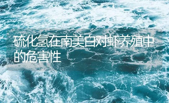 硫化氢在南美白对虾养殖中的危害性