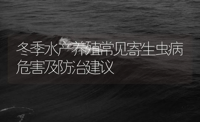 冬季水产养殖常见寄生虫病危害及防治建议