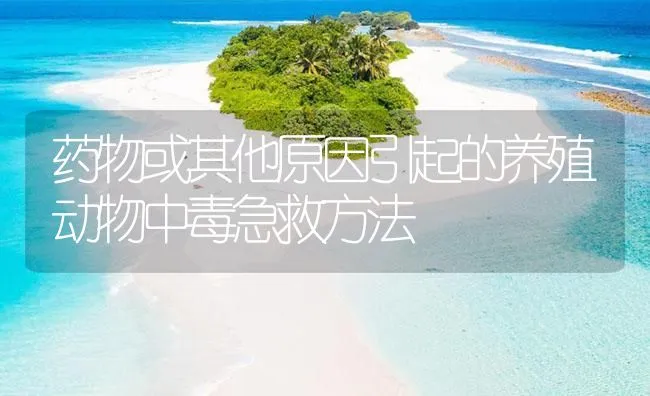 隐鞭虫病防治参考处方