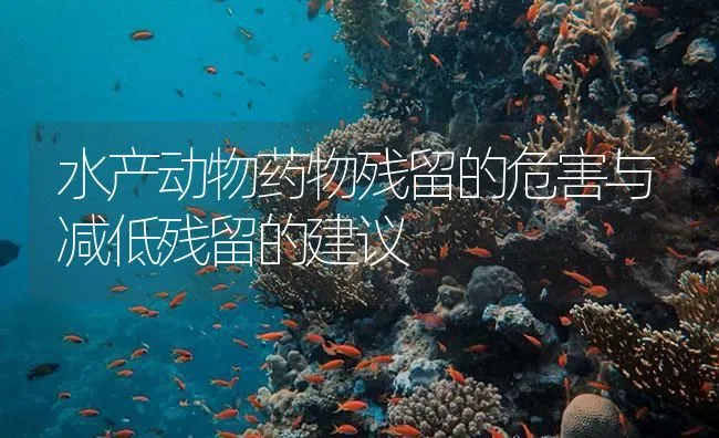 水产动物药物残留的危害与减低残留的建议