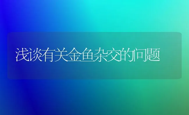 浅谈有关金鱼杂交的问题