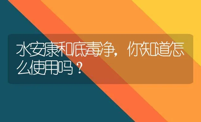 水安康和底毒净，你知道怎么使用吗？