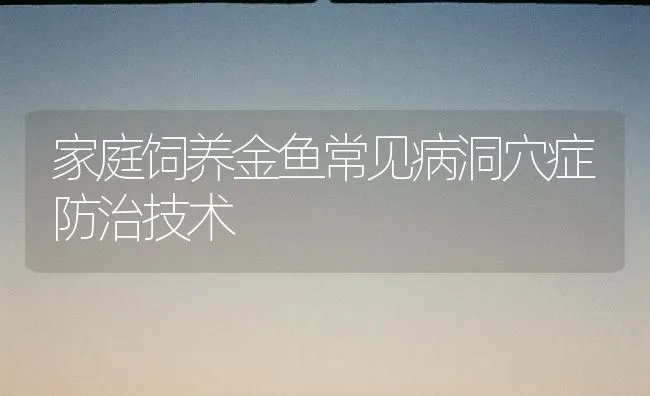 家庭饲养金鱼常见病洞穴症防治技术