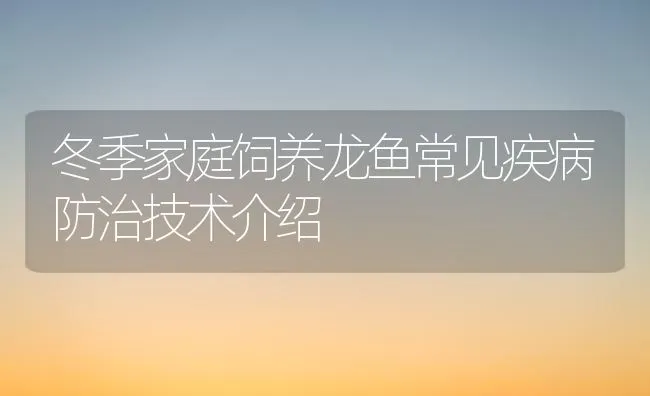 冬季家庭饲养龙鱼常见疾病防治技术介绍