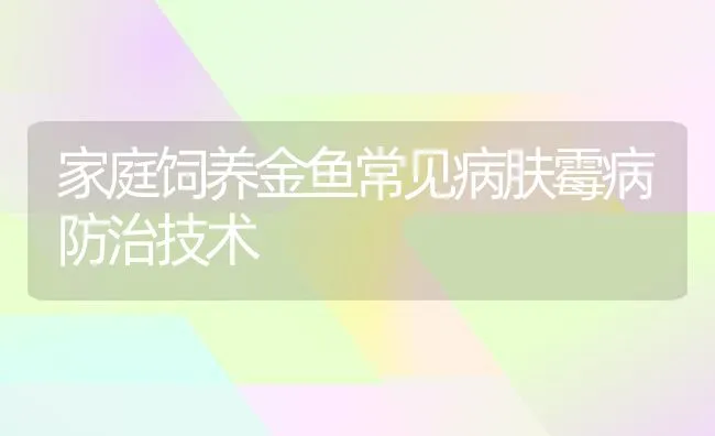 家庭饲养金鱼常见病肤霉病防治技术