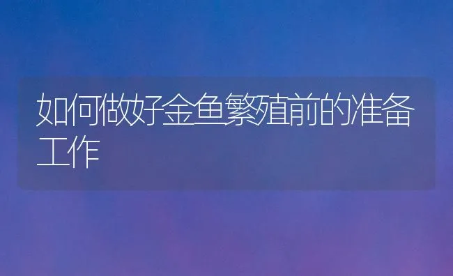 如何做好金鱼繁殖前的准备工作