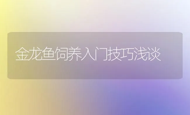 金龙鱼饲养入门技巧浅谈