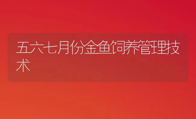 五六七月份金鱼饲养管理技术