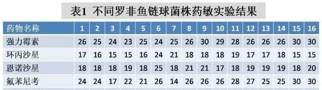 2015年海南罗非鱼链球菌病调查与药敏试验