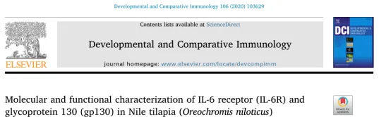 尼罗罗非鱼IL-6受体(IL-6R)和糖蛋白130(Gp130)的分子功能研究
